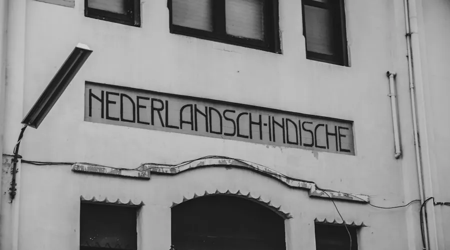 wiederansiedlung