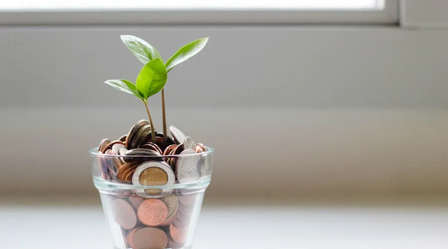 venture capital