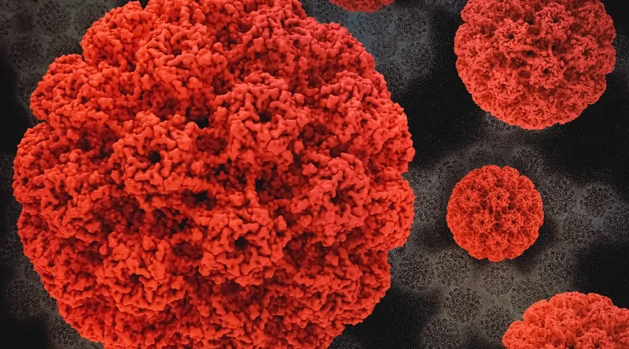 hpv