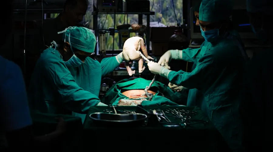 transplantation