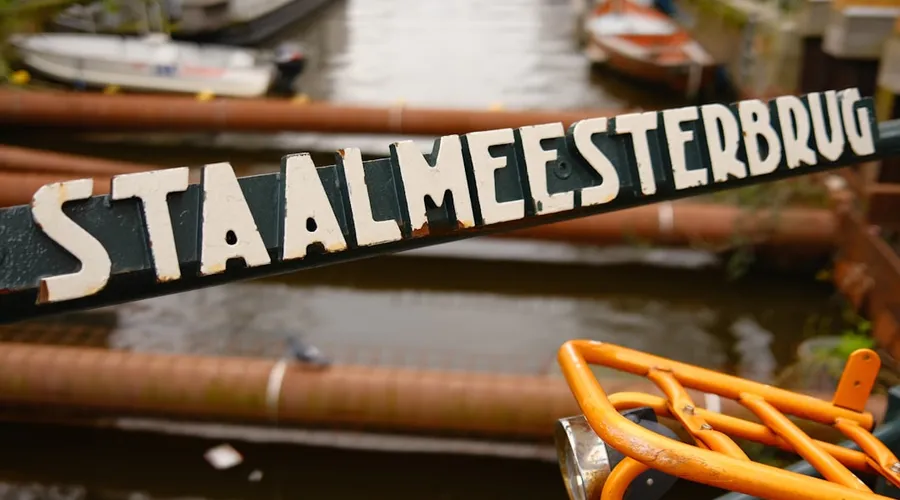 stammzellen