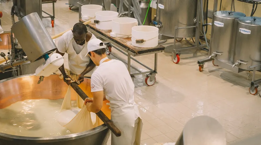 precision-fermentation