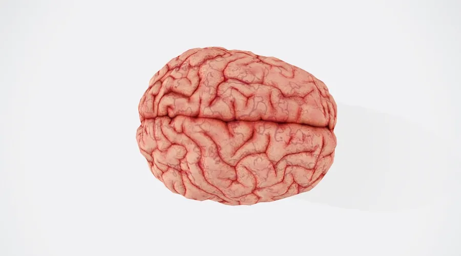alzheimer