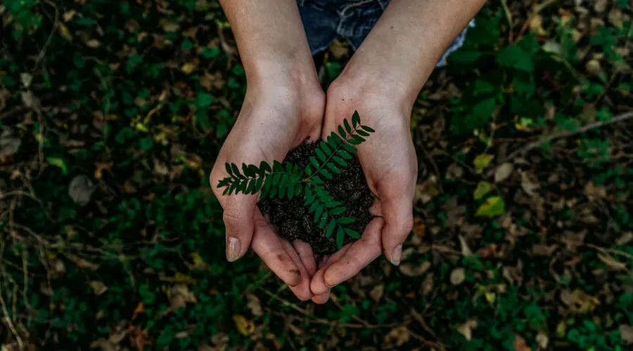 sustainability