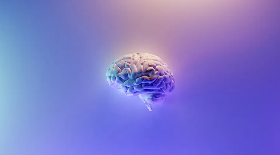 neurologie