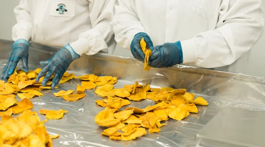 bioproduktion
