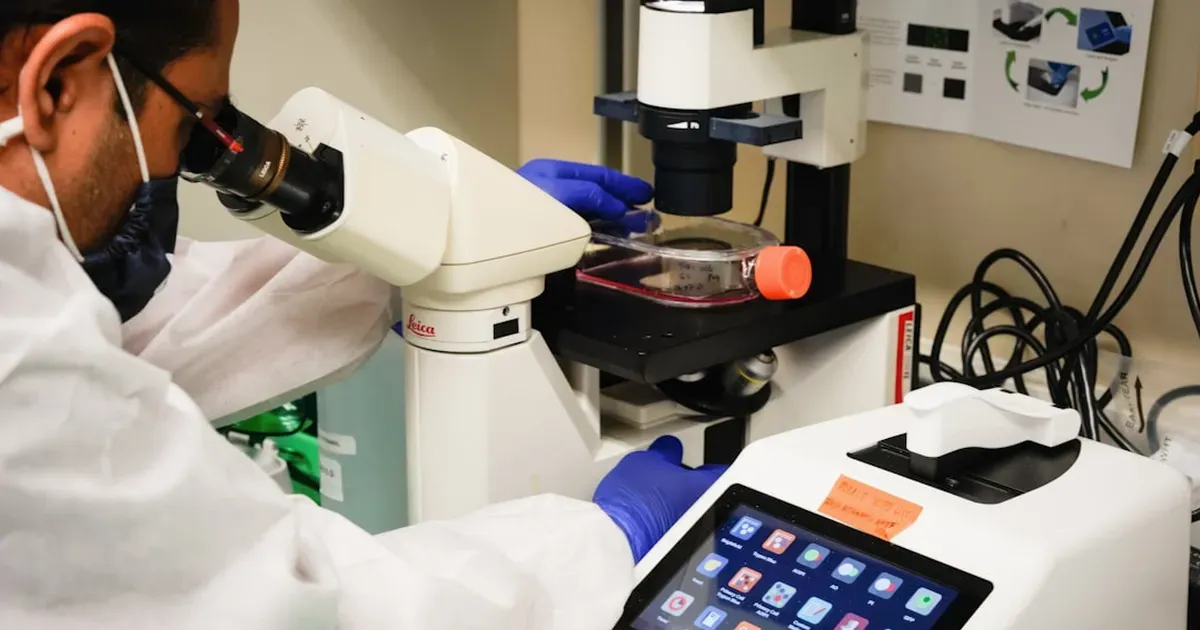 Cornell Scientists Prove Non-Hormonal Male Contraception Works