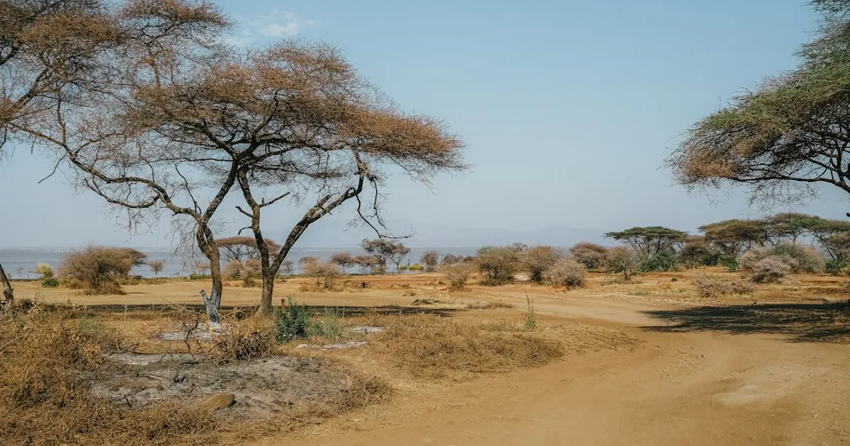 PROMPTS: KI-SMS-Dienst begleitet Schwangere in Kenia