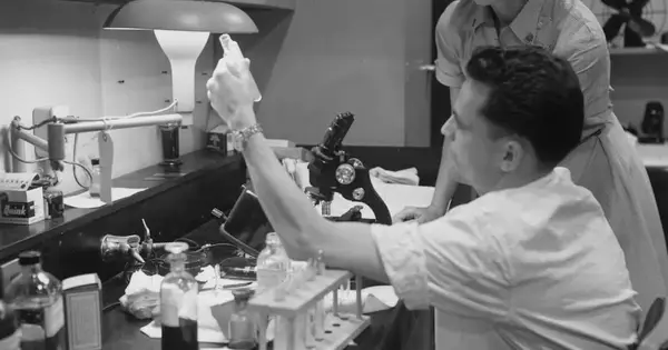 Stem Cell Transplants: Researchers Solve the Side-Effect Problem