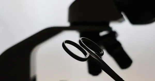 Compact AI Model Detects Alzheimer's From EEG With 97 Percent Accuracy