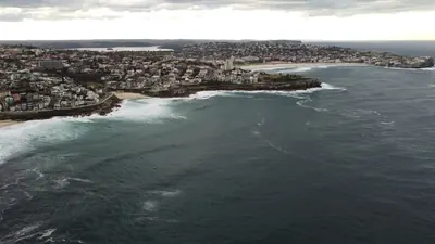 Nach dem Hai: Australien zwischen Schutz und Sicherheit