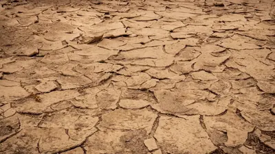 Grundwasserraub: Wie Deutschland sein Wasser verliert