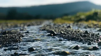 28 Grad im Main: Alarm um Bayerns Flüsse und Fische