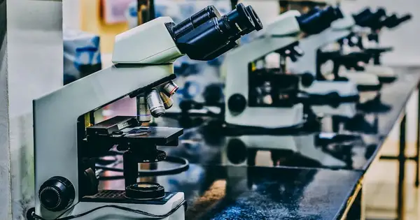 A First: Scientists Encode a Full Virus Genome on a Quantum Computer