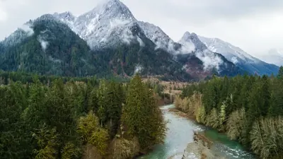 Klamath River: Lachs kehrt nach hundert Jahren zurück