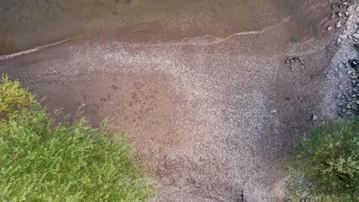 Rhein zweigeteilt: Schifffahrt in der Sackgasse