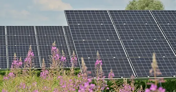 Global Solar Record: 510 Gigawatts of New Capacity in One Year