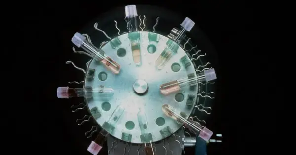 CRISPR Cell Therapy Achieves 91% Remission in T-Cell Leukemia