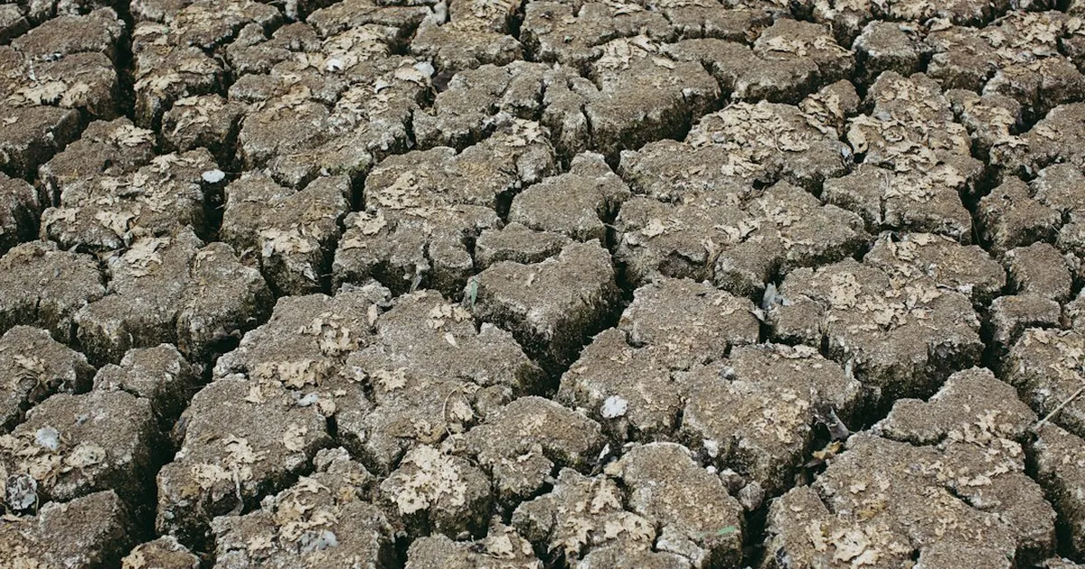 Grundwasser in der Dürre: Wer wie viel pumpt, weiß kaum jemand